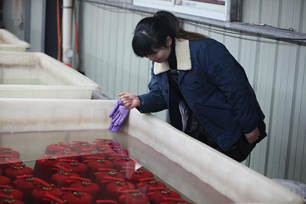 SAFEWAY DC01 Abc 6kgの消火器のセリウムの公認の赤い使いやすい 10